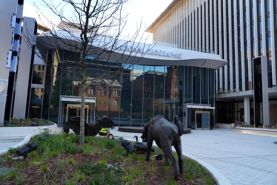 Museo de la National Geographic abrirá una ventana al apasionante mundo de la exploración