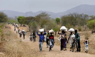 Crece el hambre en el mundo y las guerras amenazan globalmente la seguridad alimentaria