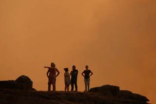 Portugal reduce un 73,5 % la superficie quemada por los incendios en 2026