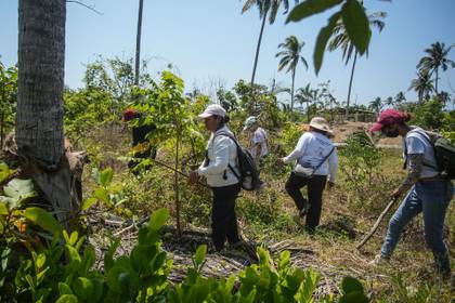AI alerta del deterioro de derechos humanos y crisis de desaparecidos en México