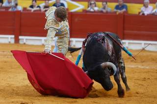 Borja Jiménez, De Miranda y Tomás Rufo triunfan en desrazada corrida de Victoriano del Río
