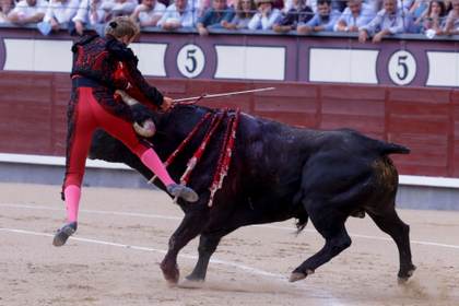 El torero francés Clemente sufre una aparatosa cogida en Las Ventas de Madrid