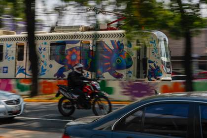 Ciudad de México se pinta de ajolotes a días del Mundial, mientras la especie desaparece