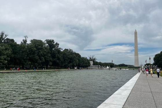 Las algas retornan al estanque reflectante de Washington tras la remodelación de Trump