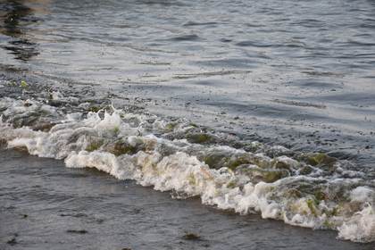 Falta de mantenimiento provoca mitad de los derrames petroleros en México, según experto