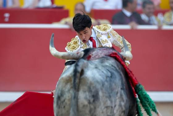 Galván y Diosleguarde pasean trofeos de una manejable corrida de Cebada Gago en Pamplona