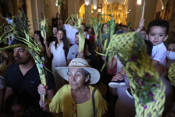 Cardenal paraguayo critica guerras y "lógica de la violencia" en misa de Domingo de Ramos
