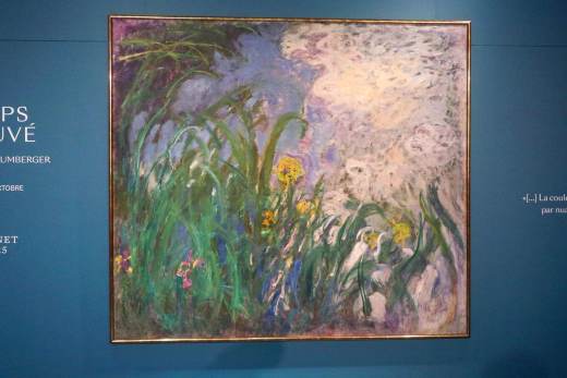 A subasta 'Iris', de Monet, por 30 millones de euros, récord para una pintura en Francia