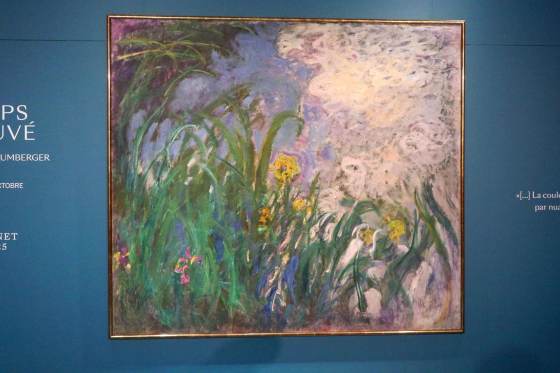 A subasta 'Iris', de Monet, por 30 millones de euros, récord para una pintura en Francia