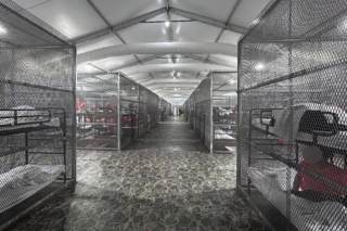 Reporte oficial constata uso de jaulas y otros abusos a inmigrantes en Alligator Alcatraz