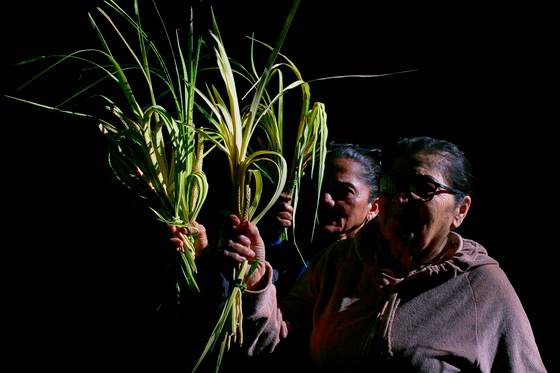 Arzobispo en Honduras pide no reducir la Semana Santa a un "acto cultural o vacacional"