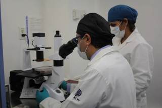 México descarta presencia del parásito Cyclospora en 16 hoteles de la Riviera Maya