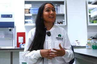 El sargazo, de plaga que lastra el turismo a prometedora arma contra la malaria más letal