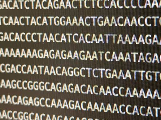 Otra vez el mal llamado ADN basura: prueban cómo algunas de sus piezas potencian el cáncer