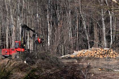 Bruselas rebaja exigencias de la ley de deforestación a las pymes y retira el cuero