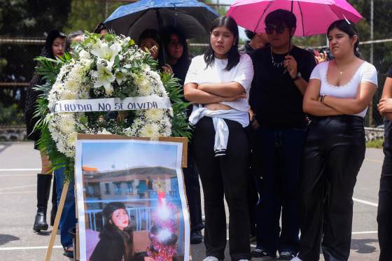 Del apuñalamiento a la desaparición: las huellas de la violencia feminicida en México