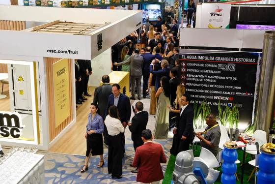 Ecuador pide al mundo darle al banano su auténtico valor y garantizar su sostenibilidad