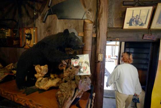 El restaurante de Japón donde triunfa la carne de oso tras un año de ataques sin igual