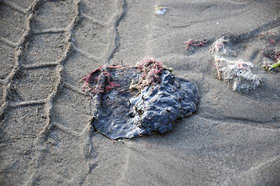 Pemex activa operativo en Veracruz por residuos de aceite en zona afectada por derrame