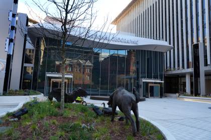 Museo de la National Geographic abrirá una ventana al apasionante mundo de la exploración