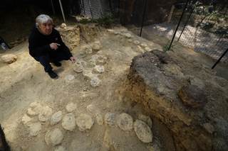 El misterioso lazo transatlántico de los dinosaurios: de la Patagonia al sur de Francia