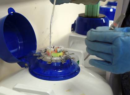 Los factores ambientales son determinantes en la calidad del semen (superior en el norte)