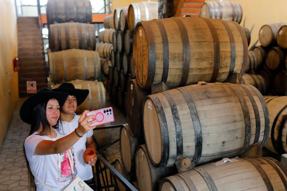 Pueblo mexicano de Tequila espera su recuperación económica con el turismo mundialista