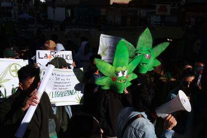 Decenas se manifiestan en Bolivia a favor de la despenalización de la marihuana