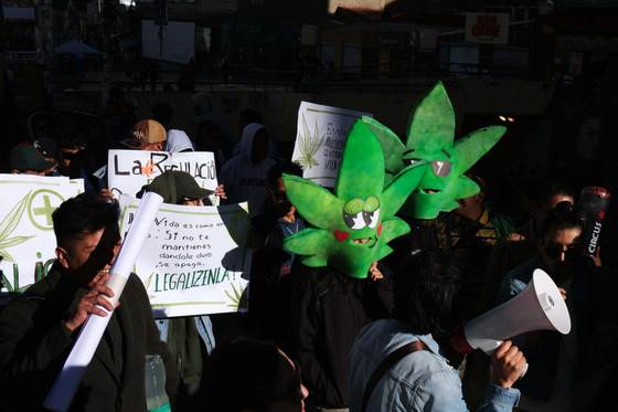 Decenas se manifiestan en Bolivia a favor de la despenalización de la marihuana