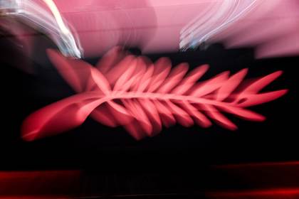 Documentales sobre Lennon, el Che, Irán o Cantona en una variada edición de Cannes