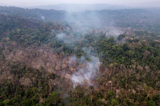 Brasil registra su menor deforestación en siete años, pero la Amazonía concentra un tercio