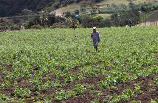 Doña Juana: la "mala vecina" que tapa con basura el horizonte verde de Bogotá