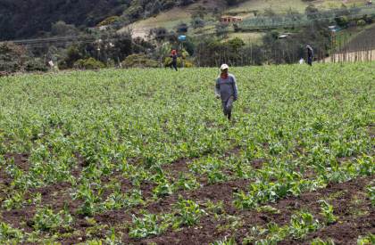Doña Juana: la "mala vecina" que tapa con basura el horizonte verde de Bogotá