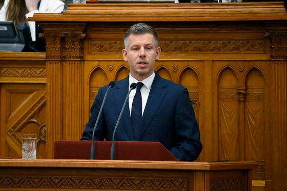 El Gobierno húngaro reformará la Constitución para destituir al presidente aliado de Orbán
