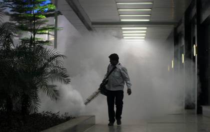 El ambiente y la especie de mosquito determinan la circulación de la malaria