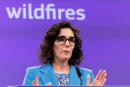 Comisaria europea indignada por el asesinato por Israel de dos camioneros de UNICEF