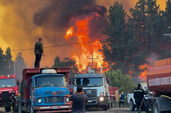 ¿Cómo salvar los bosques de la Patagonia de los súper incendios y el cambio climático?