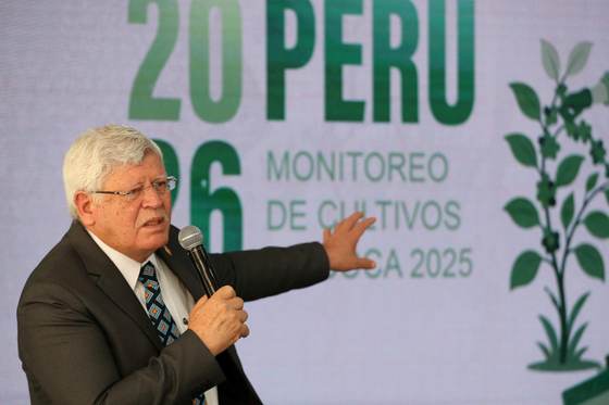 Perú reduce en un 5,8 % sus cultivos de coca en 2025, al registrar 84.546 hectáreas