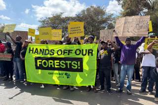 Protestan en Nairobi contra la deforestación de Kenia porque "sin bosques no hay vida"
