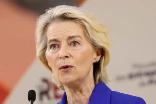 Más de 30 organizaciones piden que la naturaleza sea la primera "defensa" de la UE