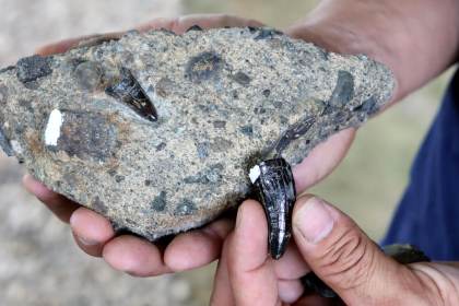Amado y Cristian, los hermanos que han hallado miles de fósiles de megafauna en Costa Rica