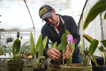 Colombia hace gala de la diversidad de sus miles de orquídeas