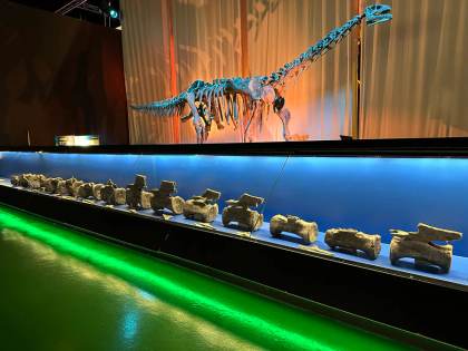 Descubren en España el primer diplodocus identificado fuera de Norteamérica