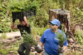 Voluntarios se suman a programa de reforestación para plantar 12.000 árboles en México