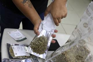 El clima golpea la producción en Panamá del café más caro del mundo, mas no su calidad