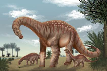 Investigadores en Uruguay descubren al Mesetasaurus protector, un nuevo dinosaurio gigante