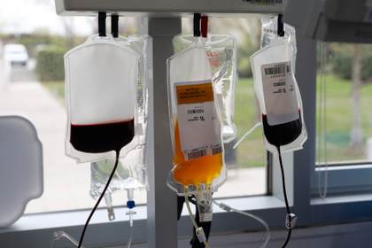 Australia permite donación de sangre a más hombres gais, bisexuales y personas trans