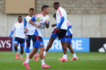 Willer Ditta confía en que Colombia podrá desarmar a Uzbekistán