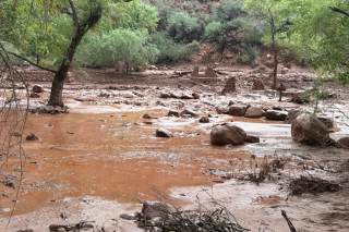 Evacúan a decenas de turistas del Gran Cañón tras fuertes inundaciones repentinas