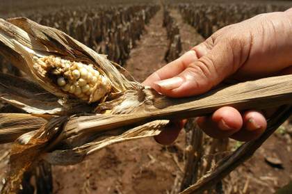Guatemala declara la alerta amarilla por sequía y altas temperaturas